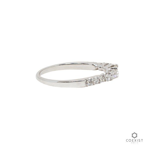Anel Degradê Diamantes Extras