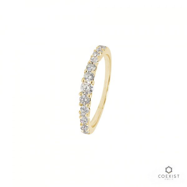 Anel Degradê Diamantes Extras
