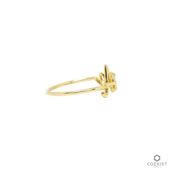 Anel Fininho Amore Ouro 18K