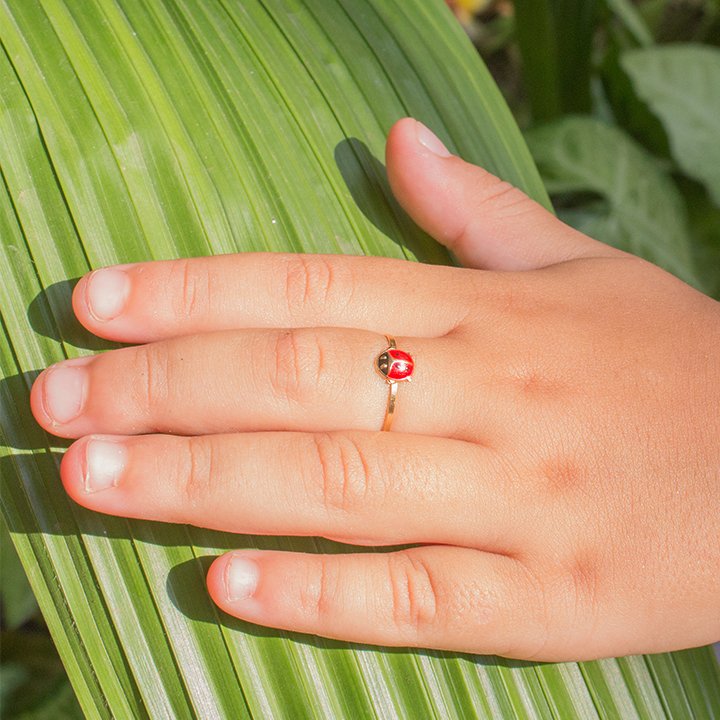 Anel Joaninha Ouro 18k Esmaltado