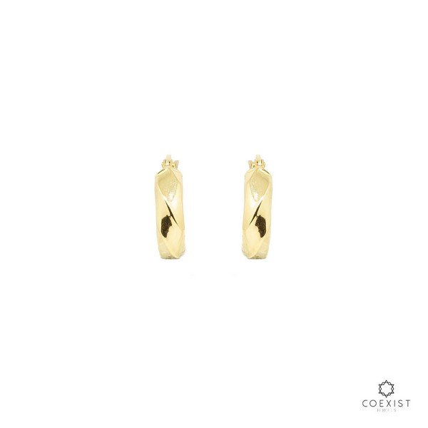 Argola Wave Petit