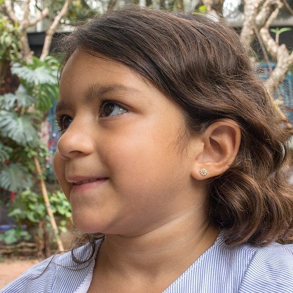 Brinco chuveirinho Zirconia