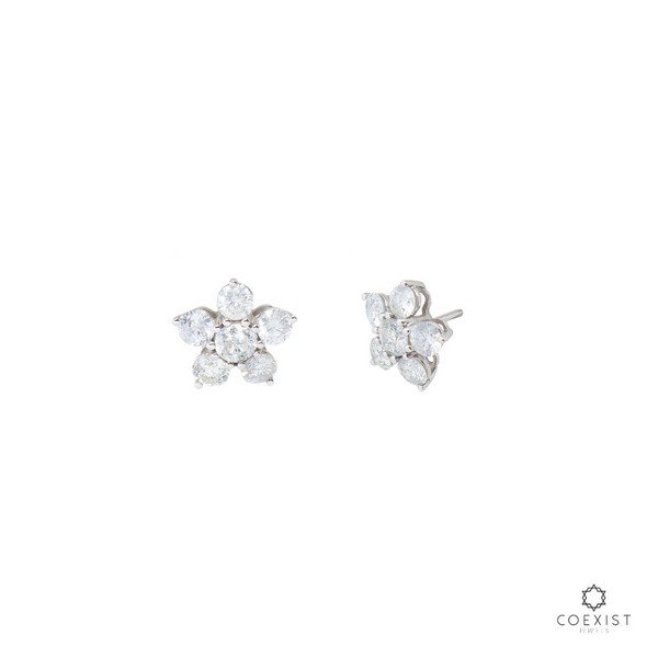 Brinco Flower Diamantes Extras 