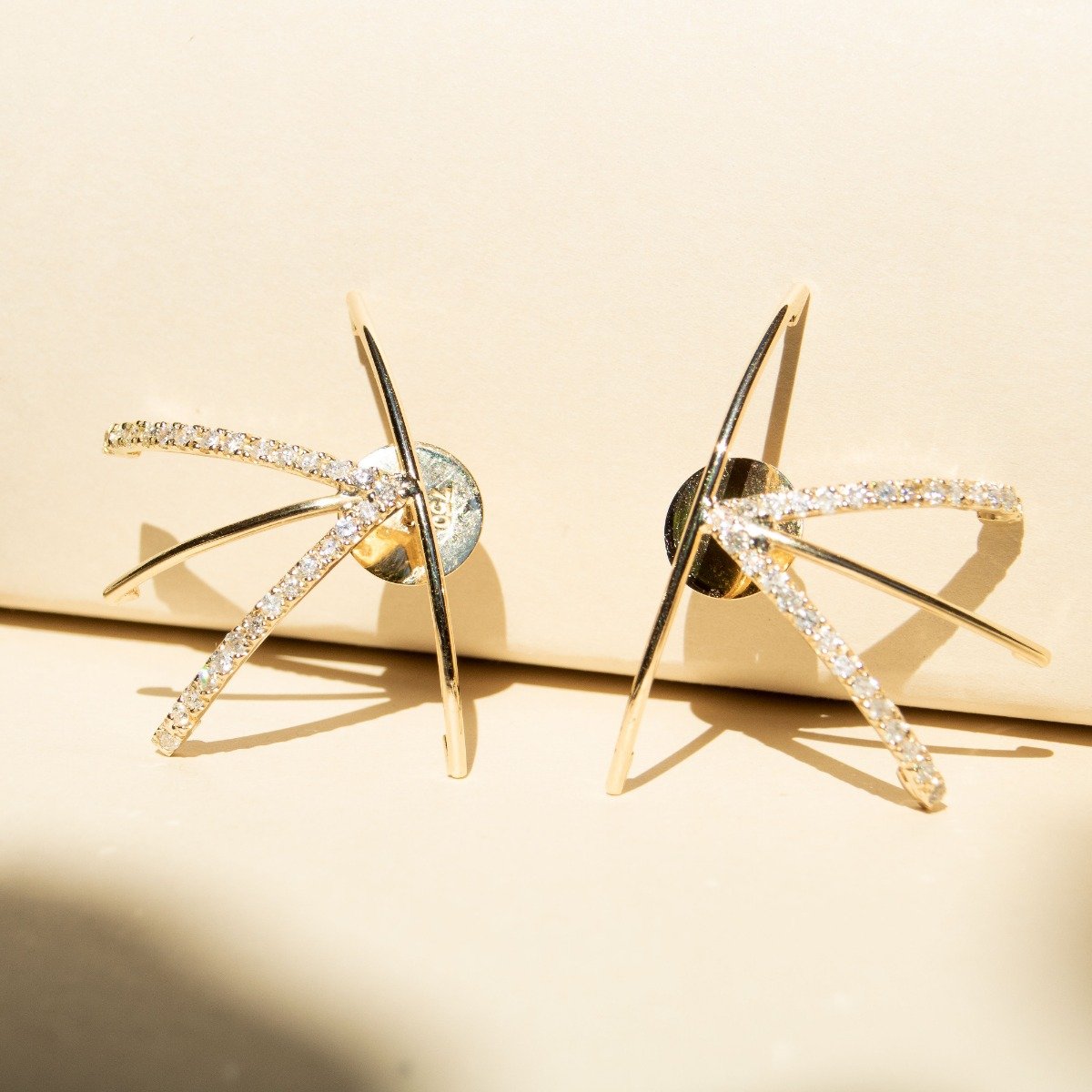 Brinco Garras Lisas e Diamantes