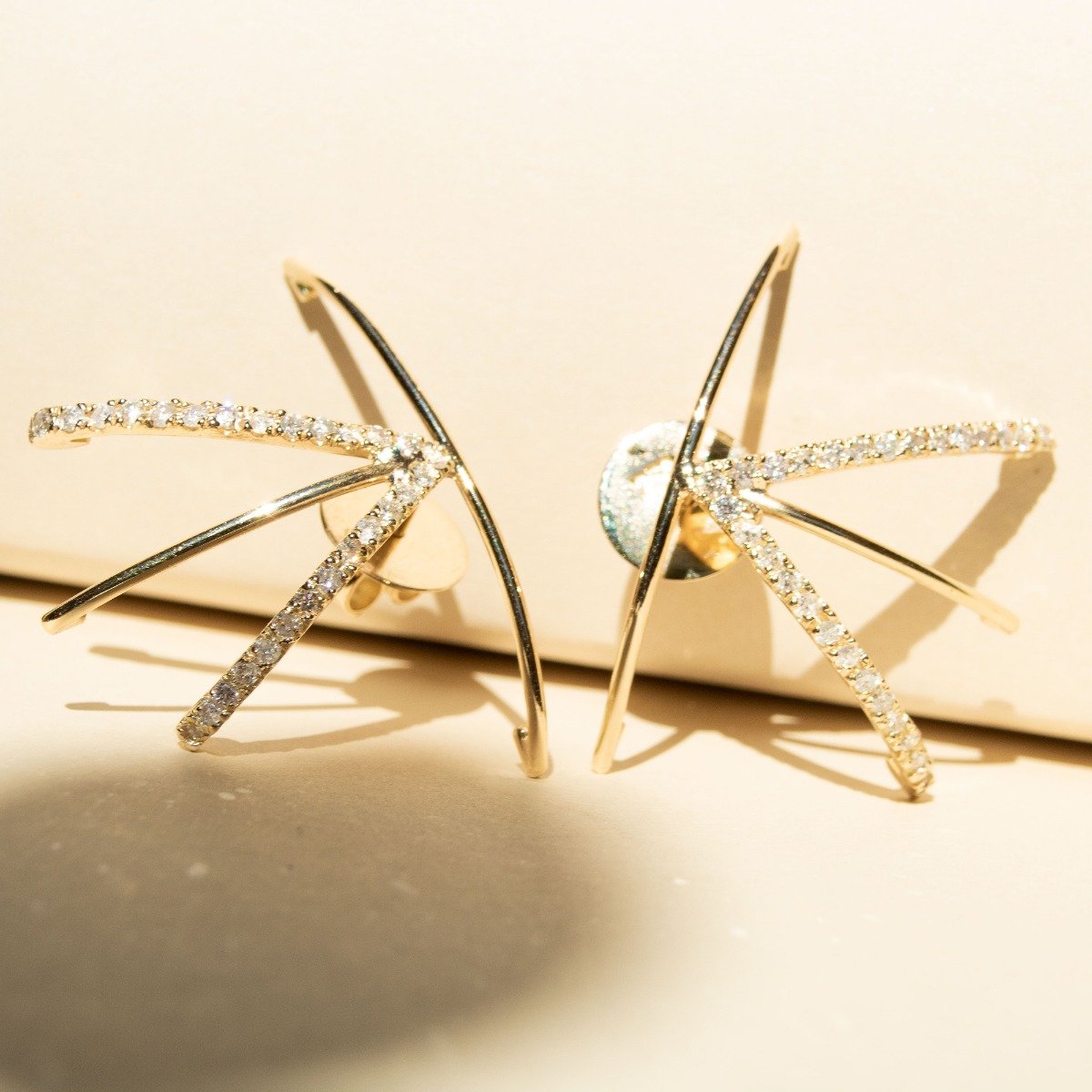 Brinco Garras Lisas e Diamantes