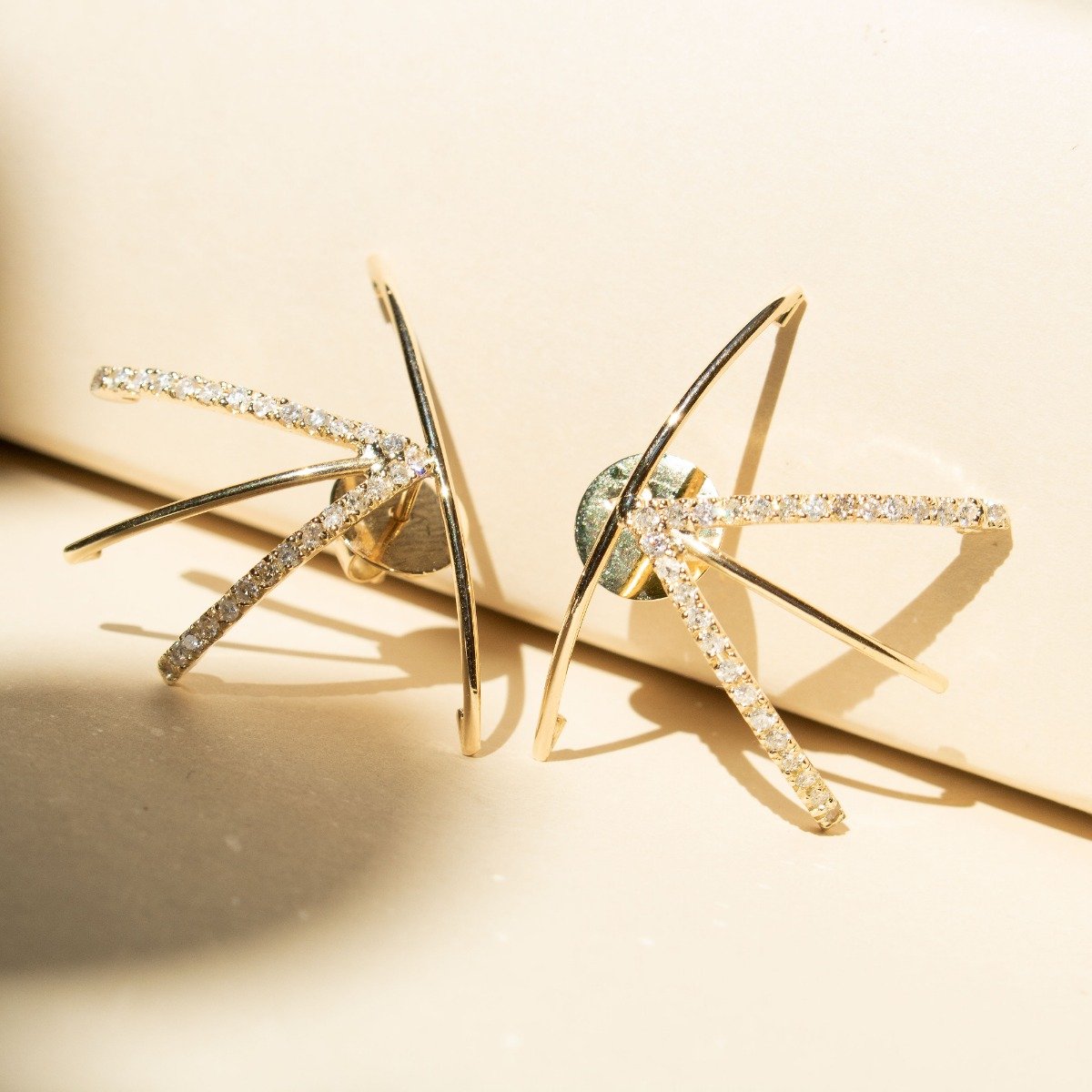 Brinco Garras Lisas e Diamantes